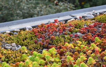 the cost of Oban green roof installation