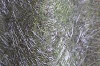 Oban fibreglass roof work